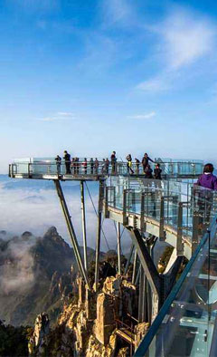 开云体育官网下载